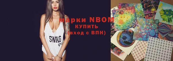 ECSTASY Богородицк