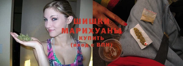 ECSTASY Богородицк