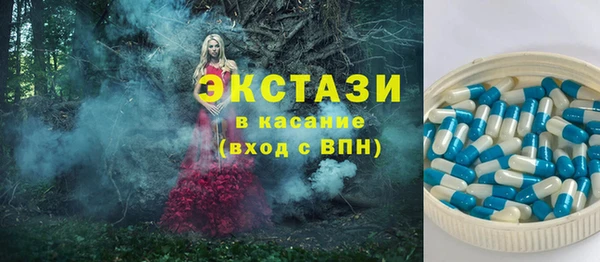 ECSTASY Богородицк
