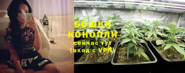 ECSTASY Богородицк