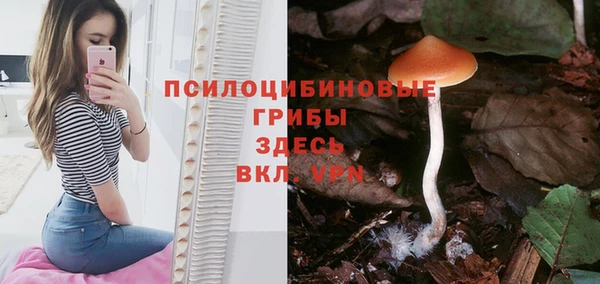 амф Беломорск